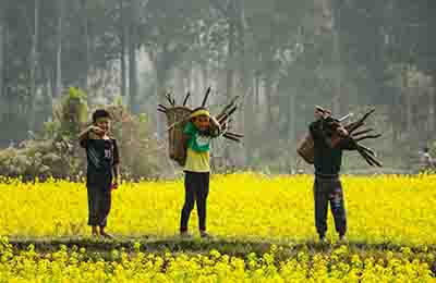 鄉(xiāng)村振興背景下欠發(fā)達地區(qū)村級集體經(jīng)濟發(fā)展