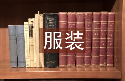 新疆地區服裝教育改革分析