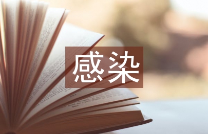 感染科醫生述職報告