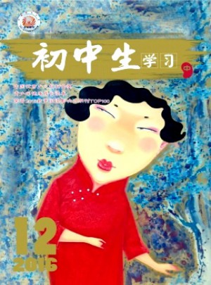初中生學(xué)習(xí)(中)